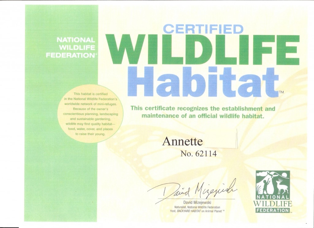 NWFcert